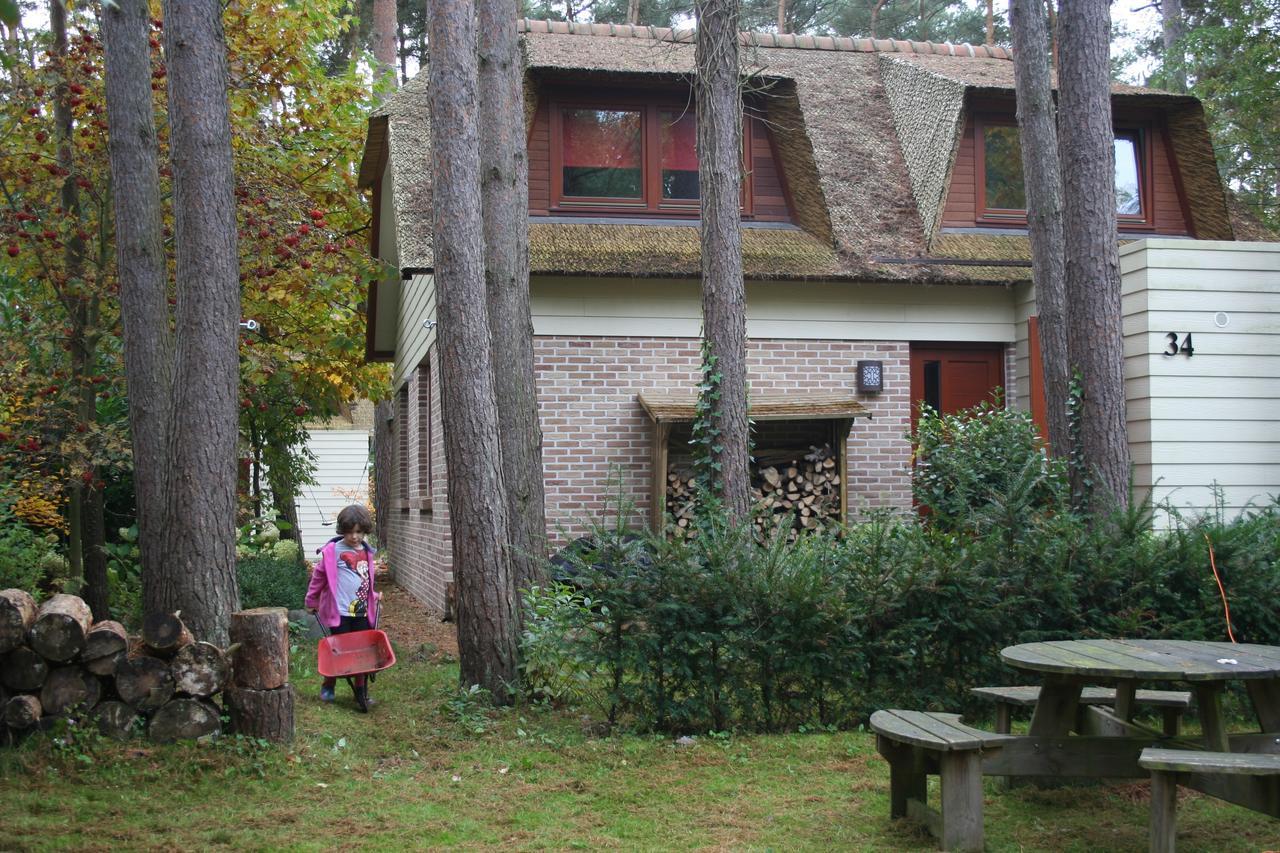 Waterlelie 34 Rekem Villa Bagian luar foto